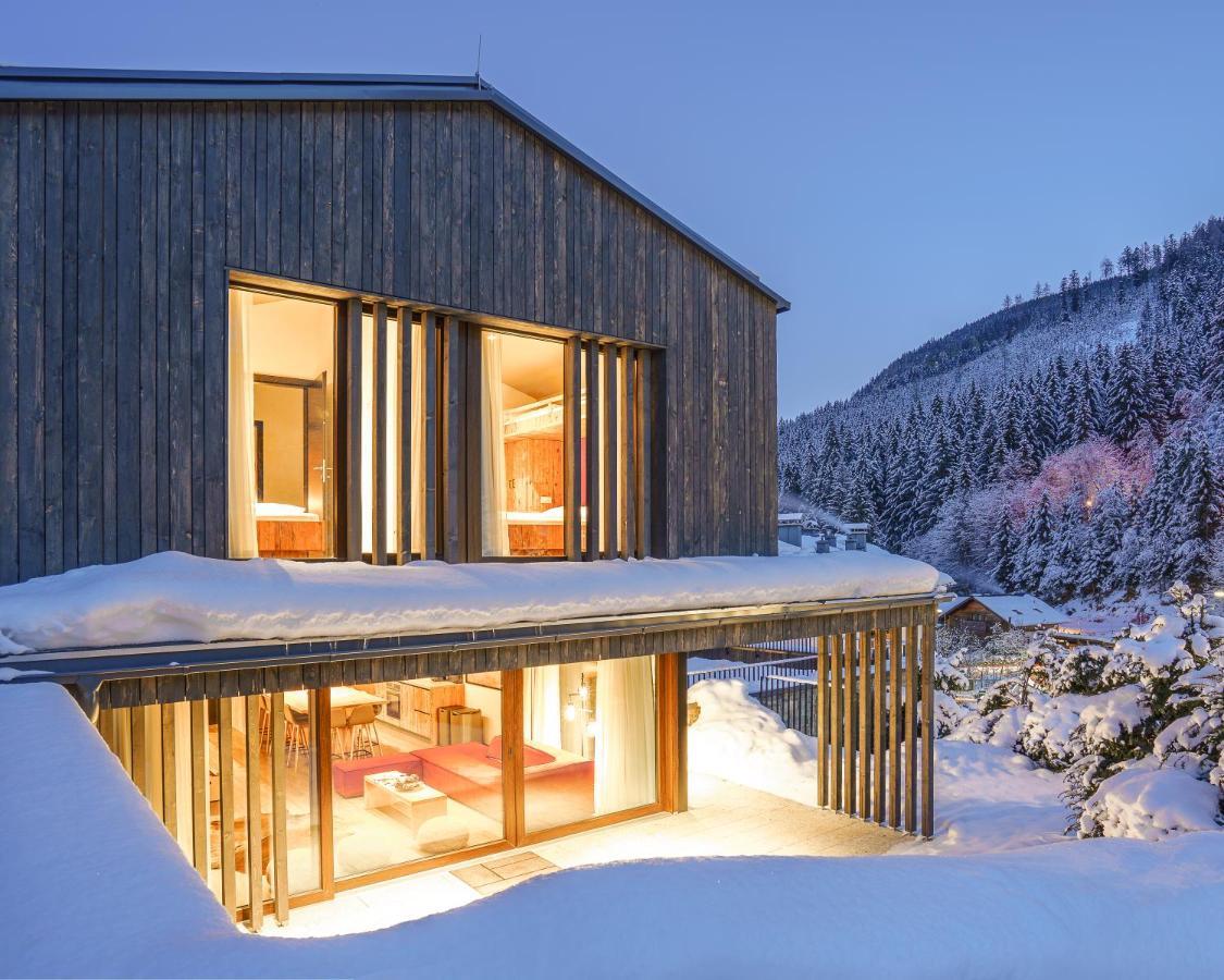 Max Relax Summercard Included Ski In-Ski Out Zell am See Exterior photo